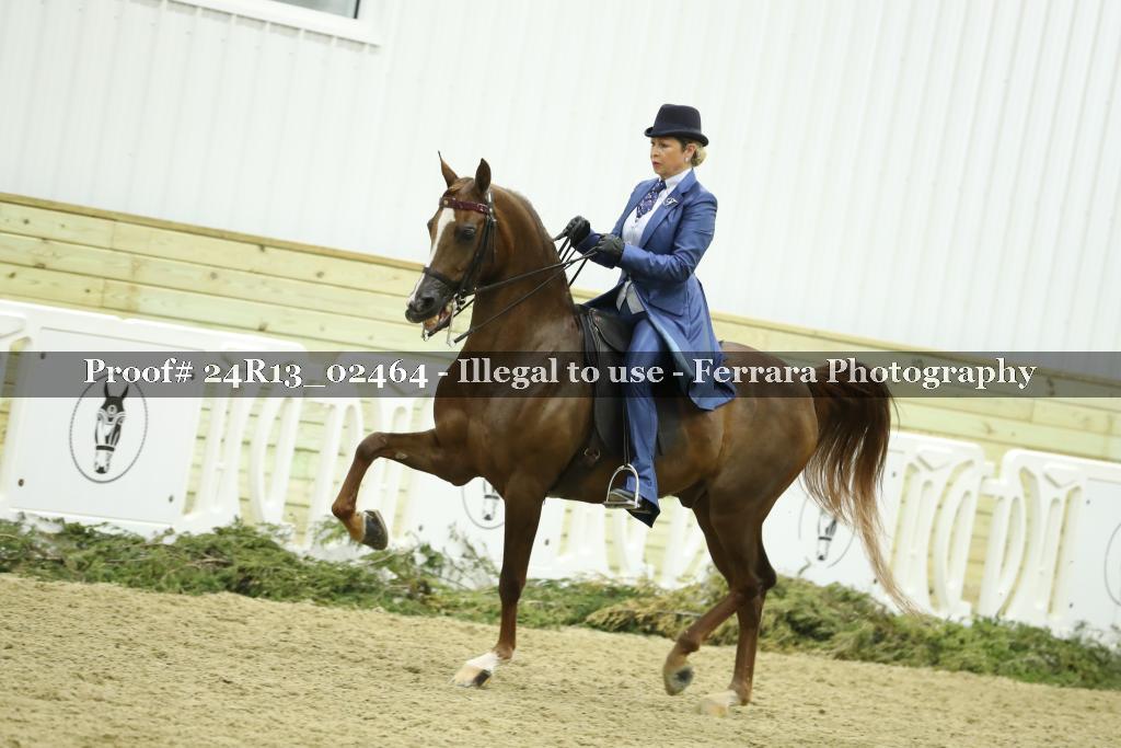 Proof Number 24R13_02464