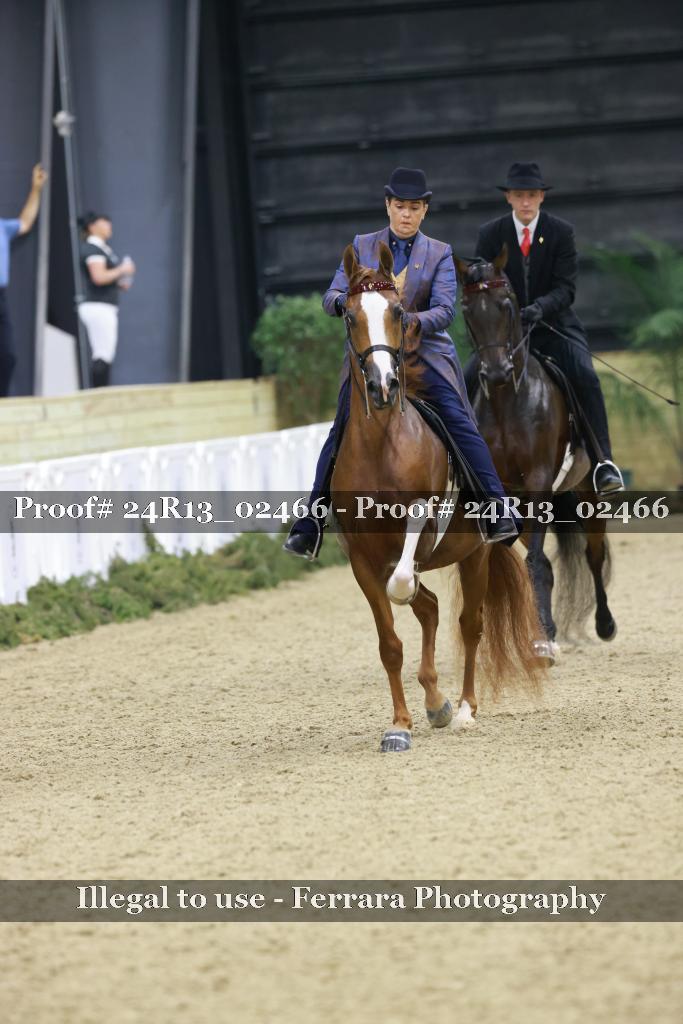 Proof Number 24R13_02466