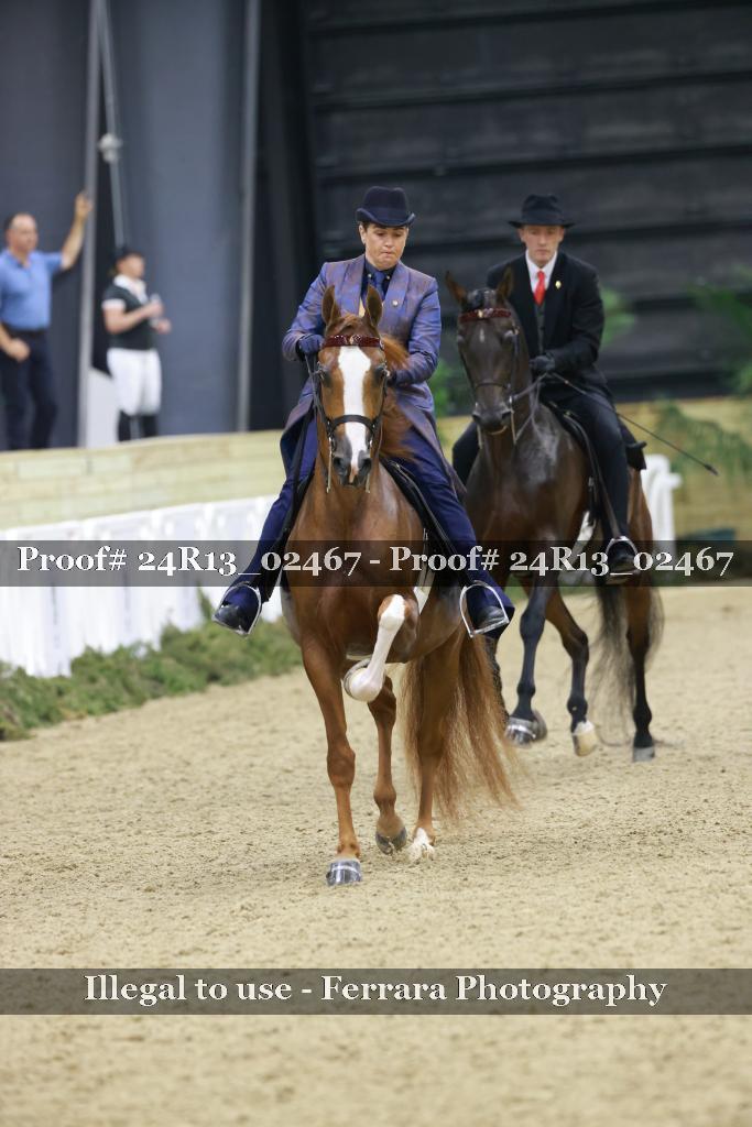Proof Number 24R13_02467