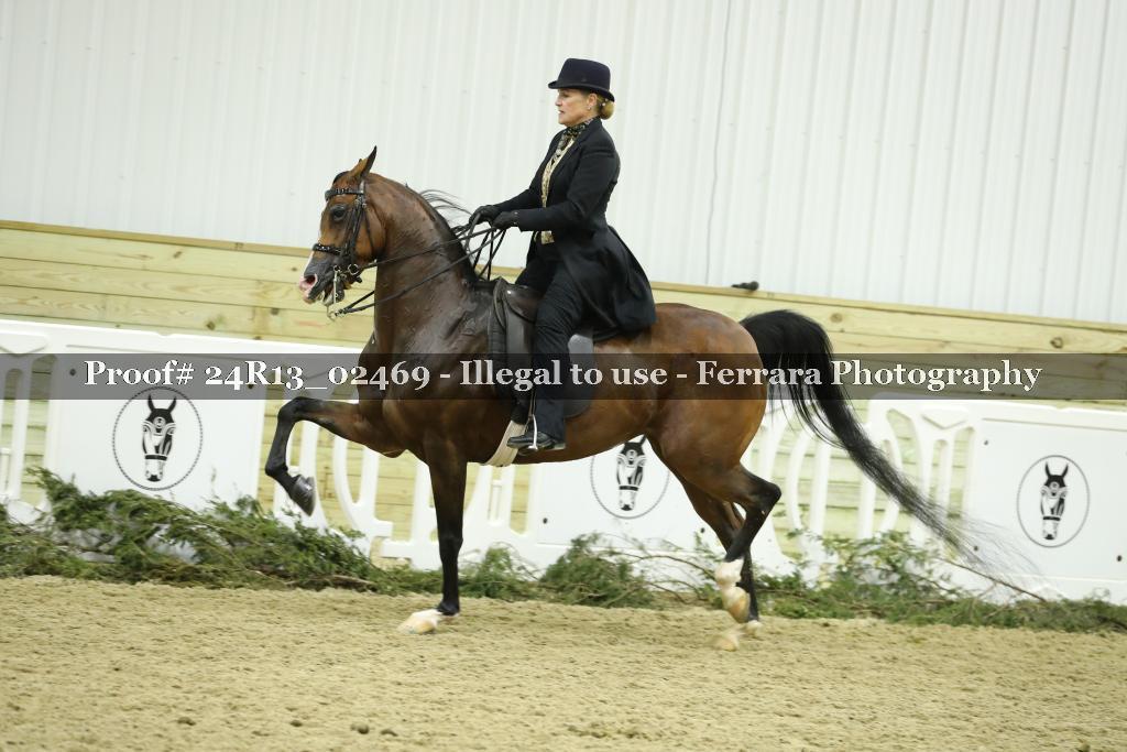 Proof Number 24R13_02469