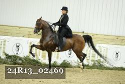 24R13_02469 thumbnail