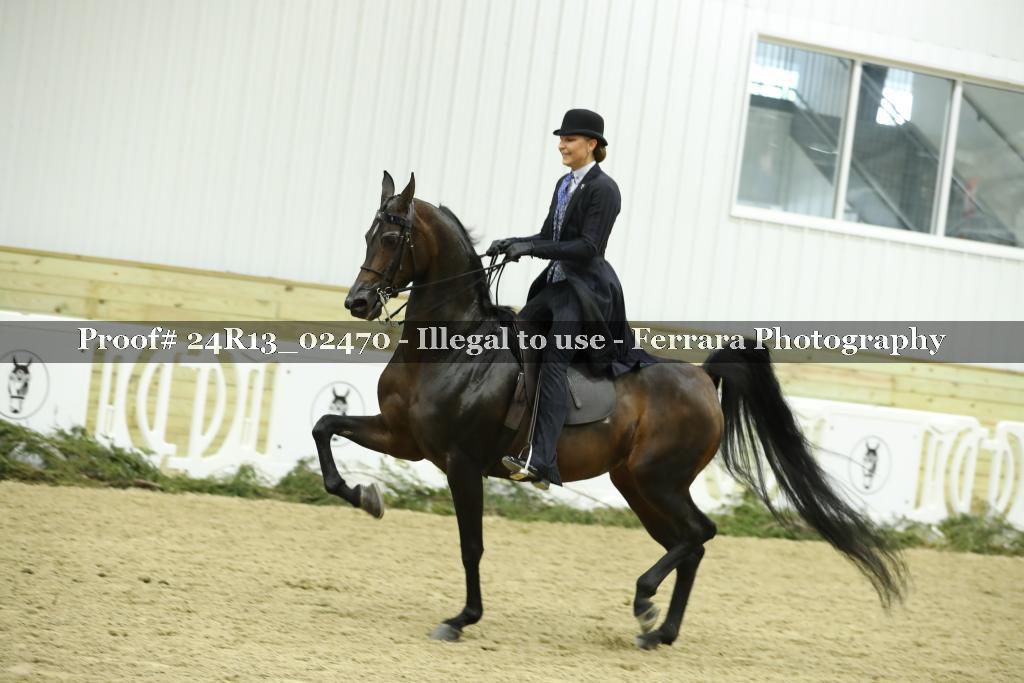Proof Number 24R13_02470