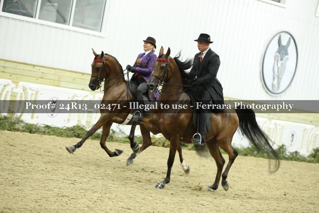 Proof Number 24R13_02471