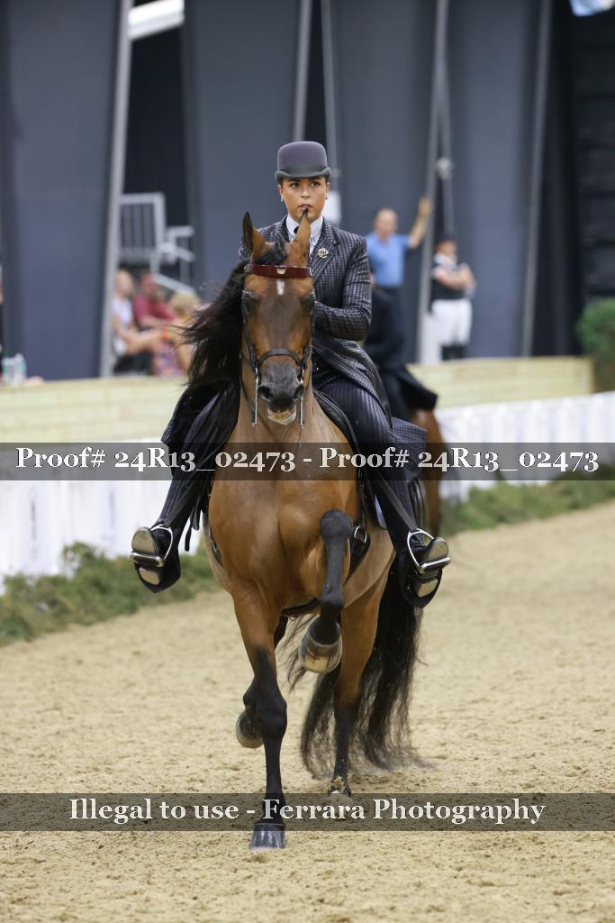 Proof Number 24R13_02473