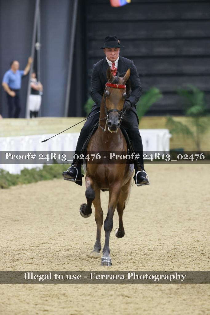 Proof Number 24R13_02476