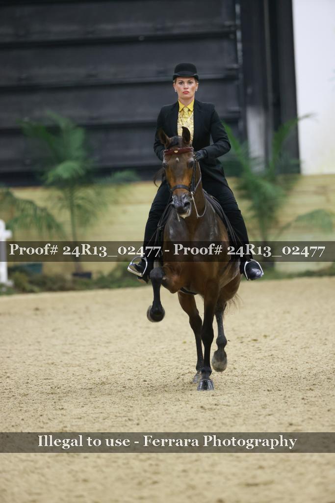 Proof Number 24R13_02477