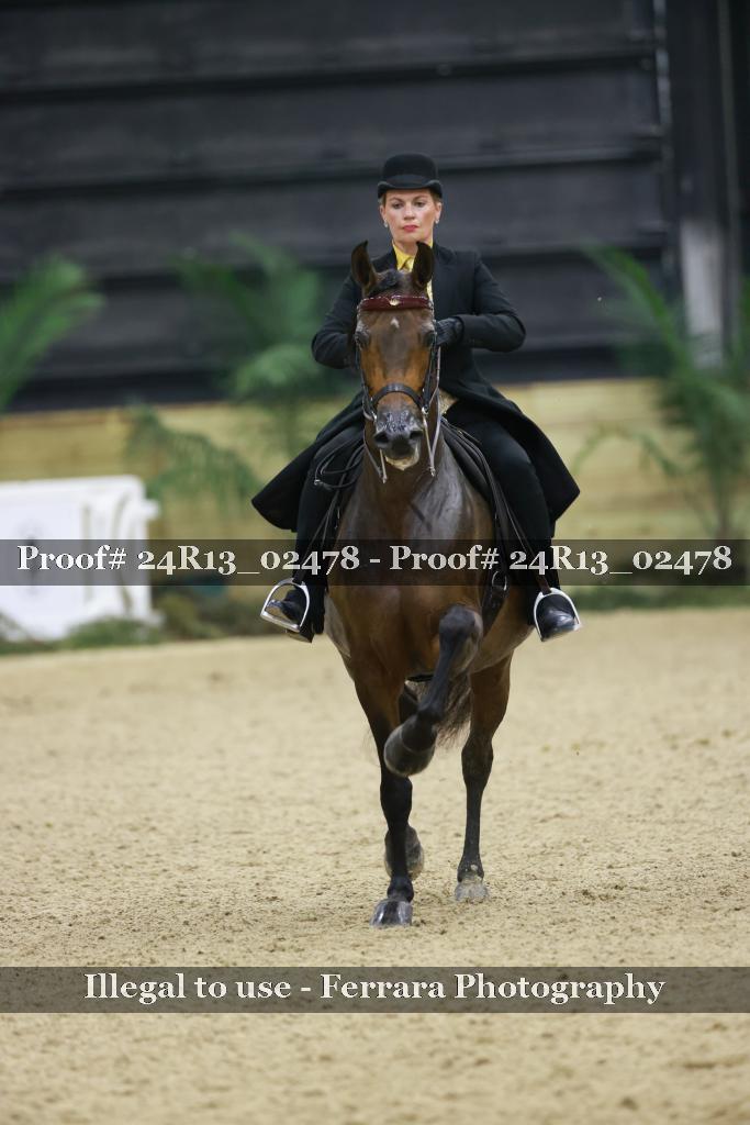 Proof Number 24R13_02478