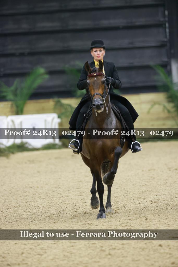 Proof Number 24R13_02479