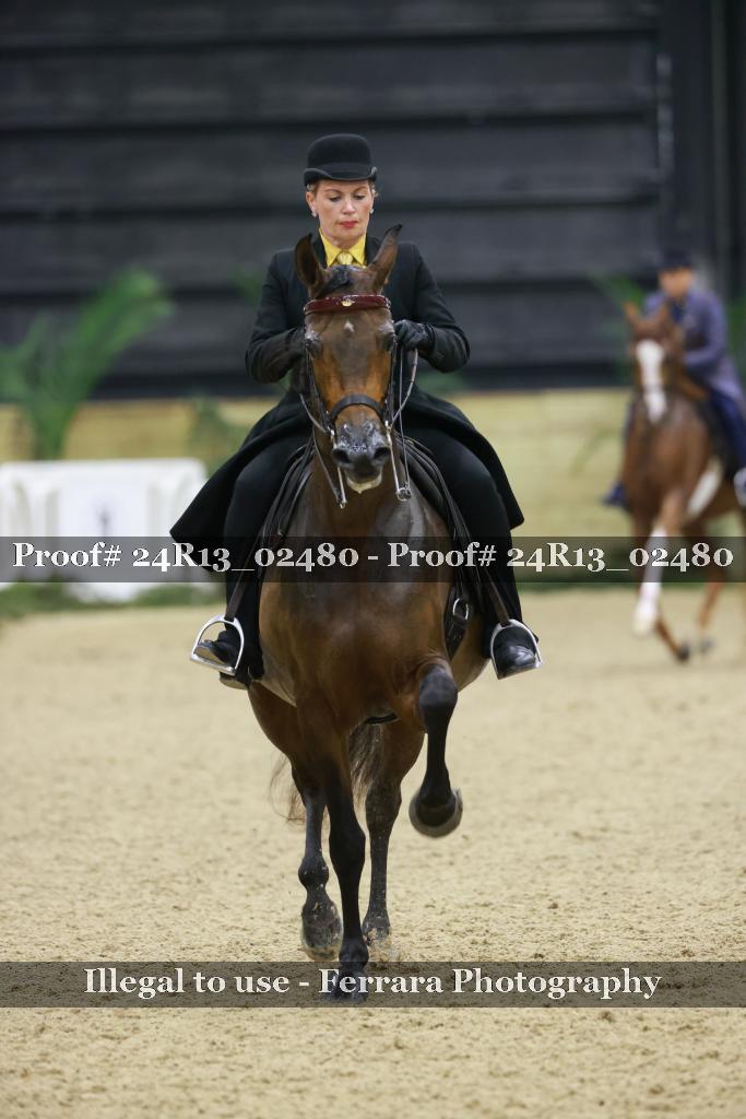 Proof Number 24R13_02480