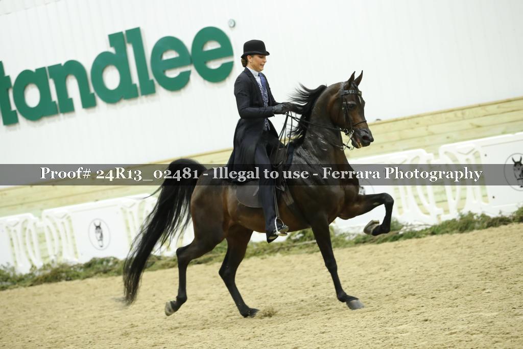 Proof Number 24R13_02481