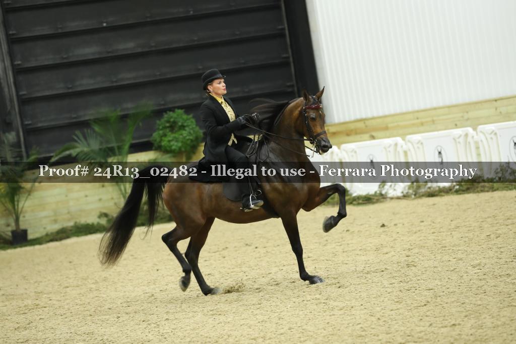 Proof Number 24R13_02482