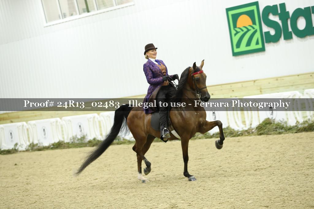 Proof Number 24R13_02483