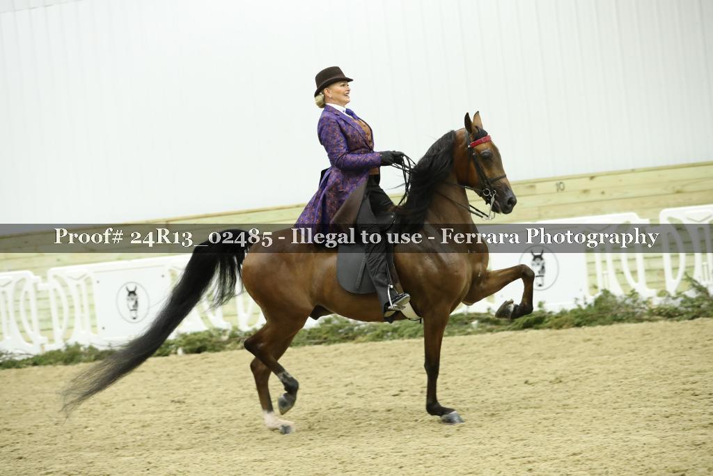 Proof Number 24R13_02485