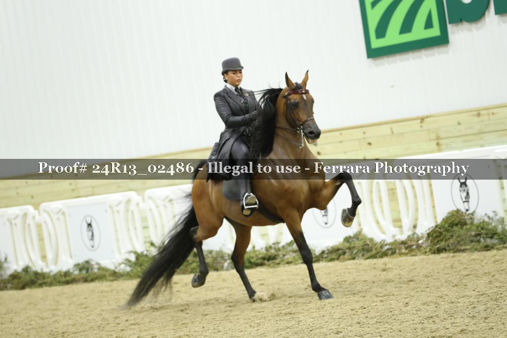 Proof Number 24R13_02486