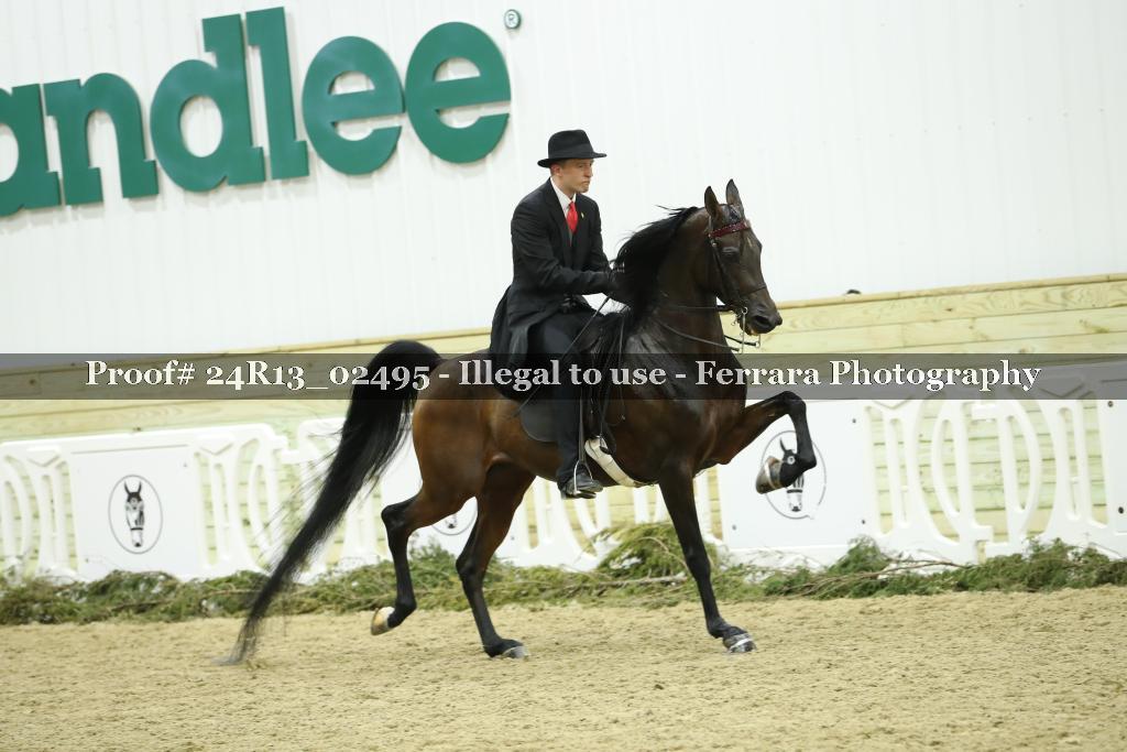 Proof Number 24R13_02495