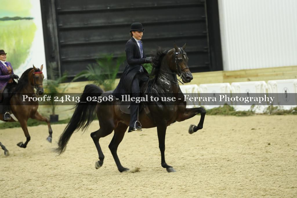 Proof Number 24R13_02508