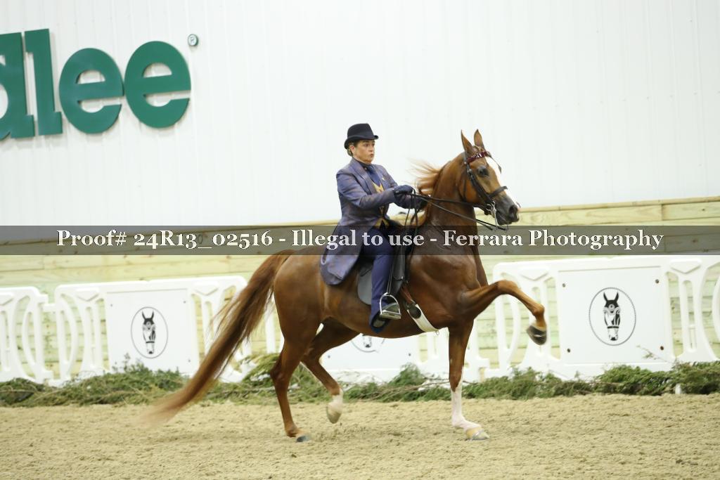 Proof Number 24R13_02516