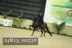24R13_02538 thumbnail