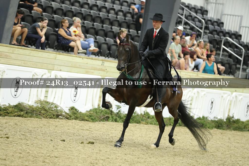 Proof Number 24R13_02541