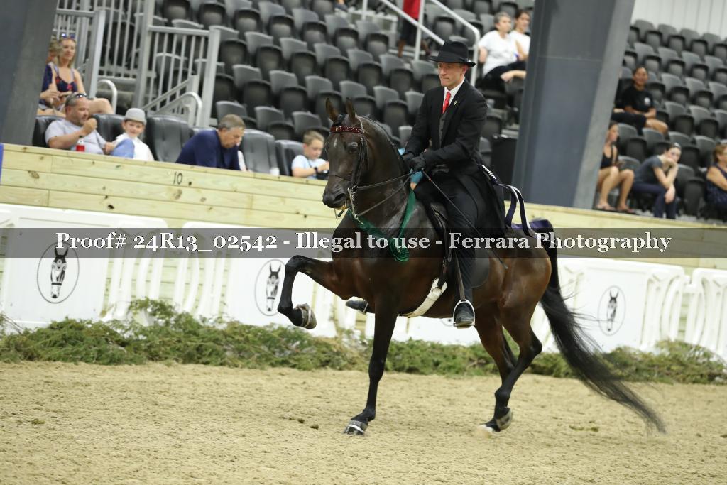 Proof Number 24R13_02542