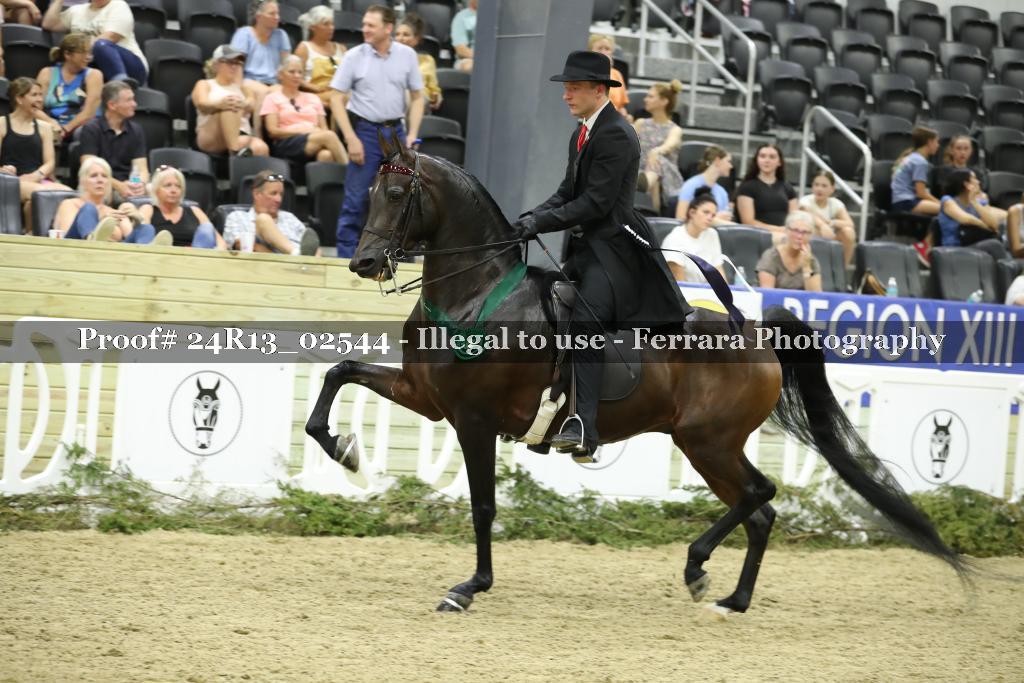 Proof Number 24R13_02544