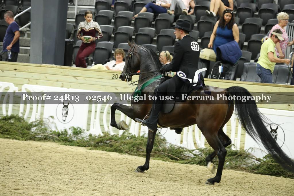 Proof Number 24R13_02546