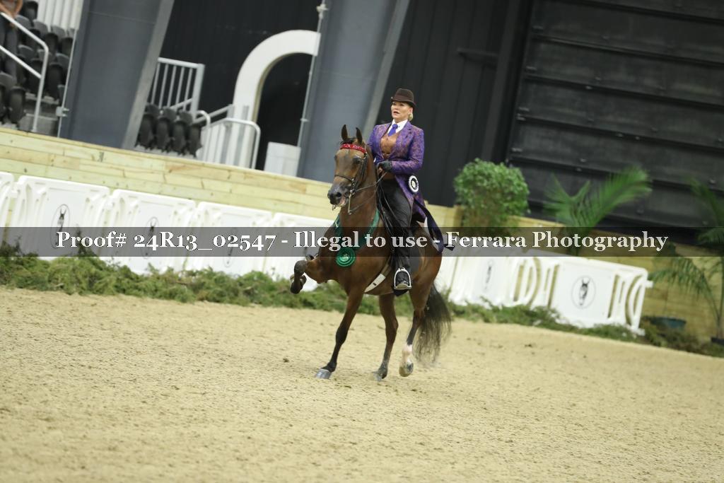 Proof Number 24R13_02547