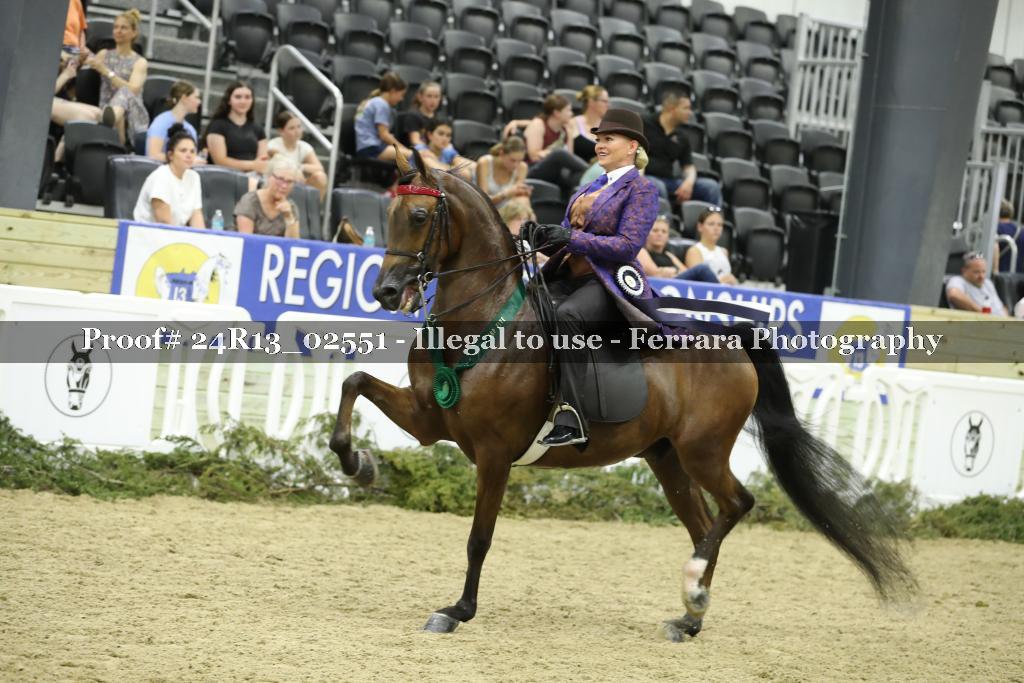 Proof Number 24R13_02551