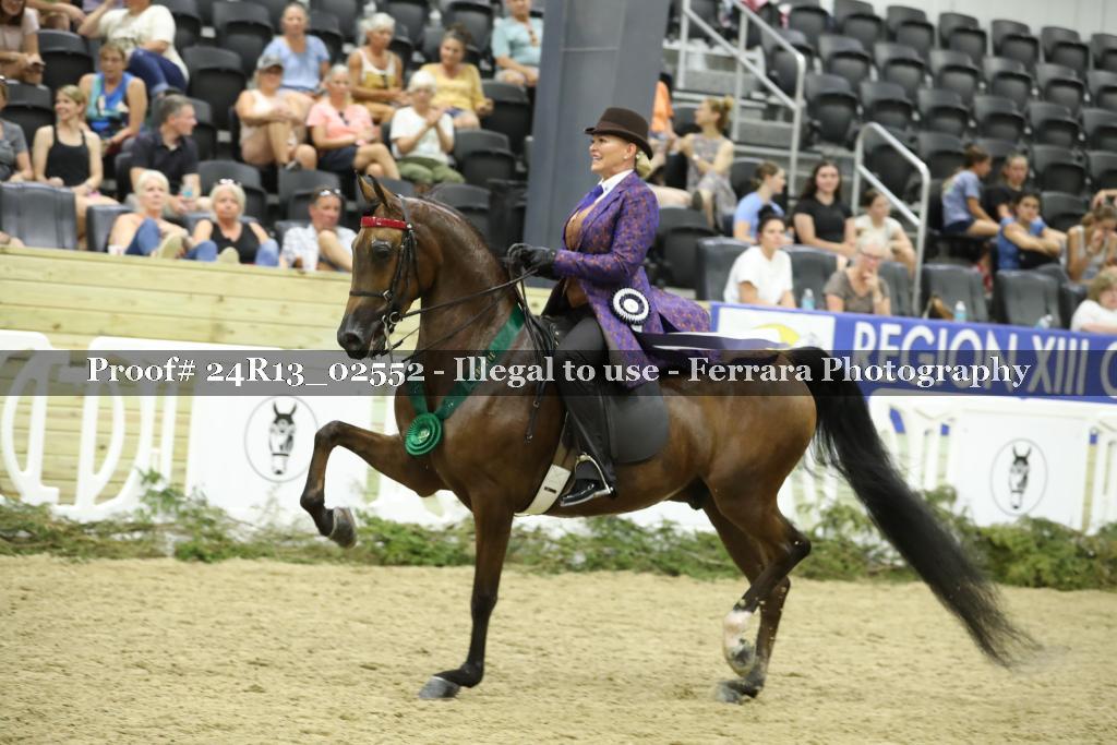 Proof Number 24R13_02552