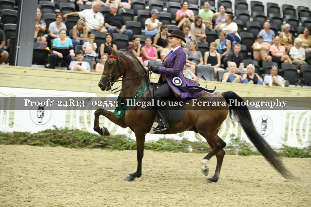 Proof Number 24R13_02553
