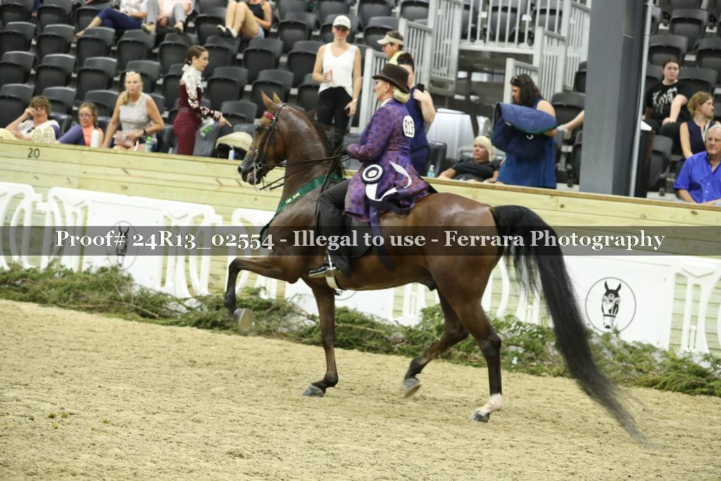 Proof Number 24R13_02554