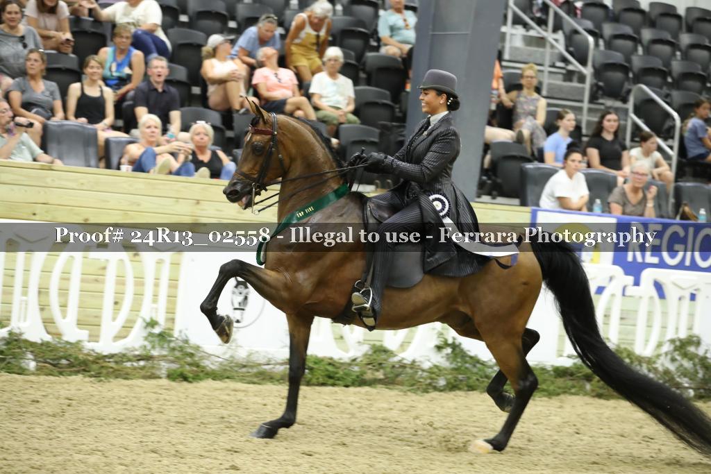 Proof Number 24R13_02558