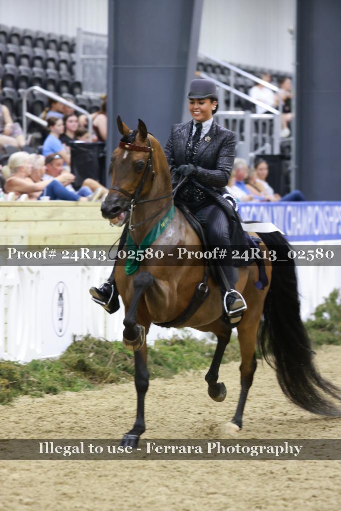 Proof Number 24R13_02580