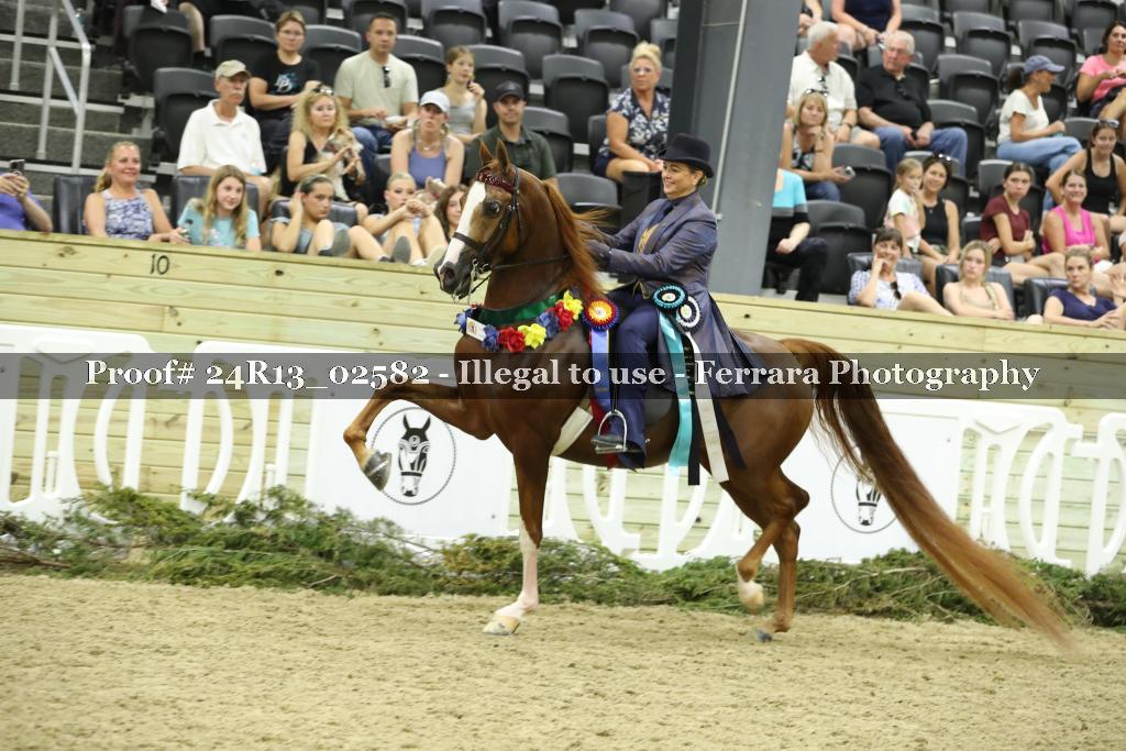 Proof Number 24R13_02582