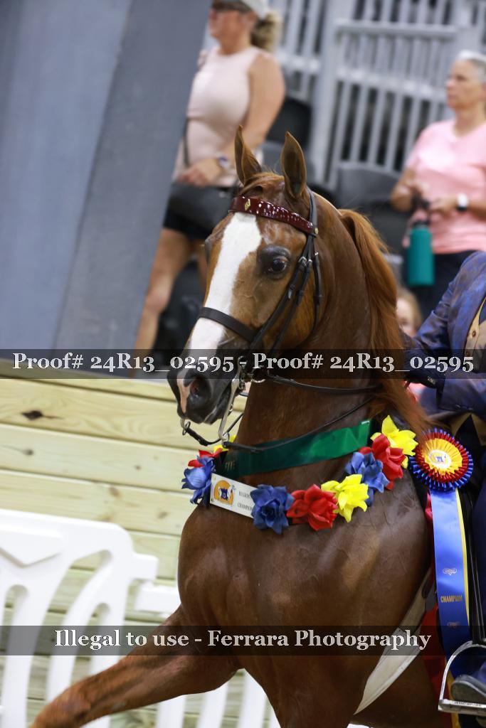 Proof Number 24R13_02595