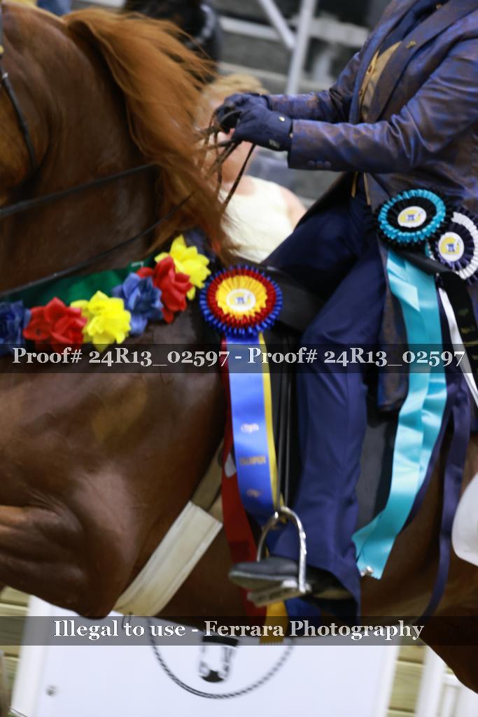 Proof Number 24R13_02597