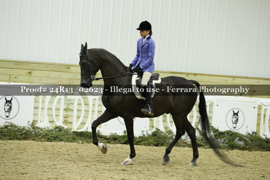 Proof Number 24R13_02623