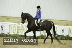 24R13_02623 thumbnail