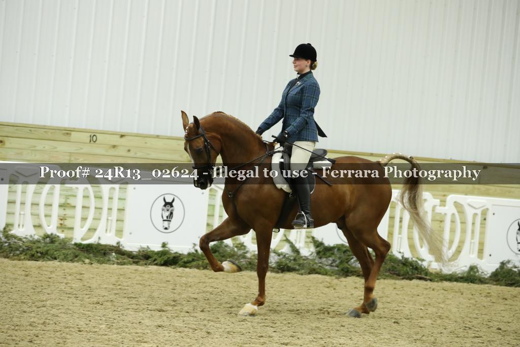 Proof Number 24R13_02624