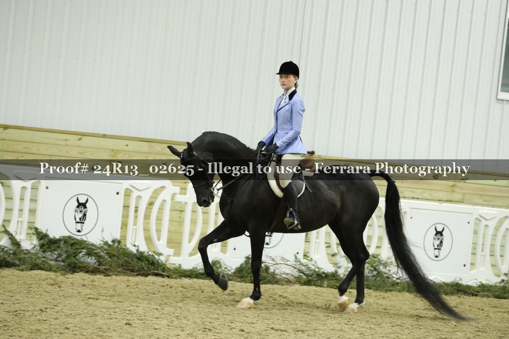 Proof Number 24R13_02625