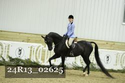 24R13_02625 thumbnail