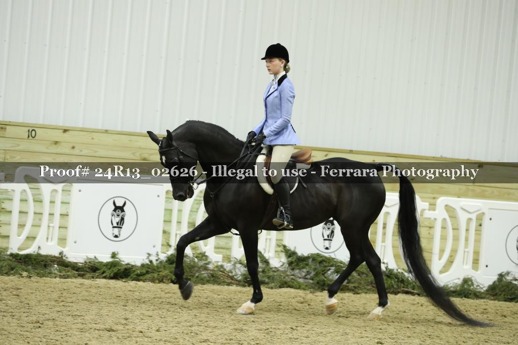Proof Number 24R13_02626
