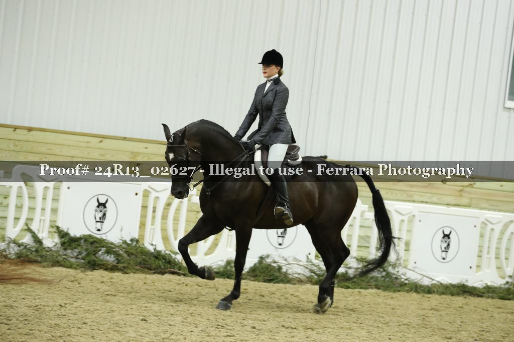 Proof Number 24R13_02627