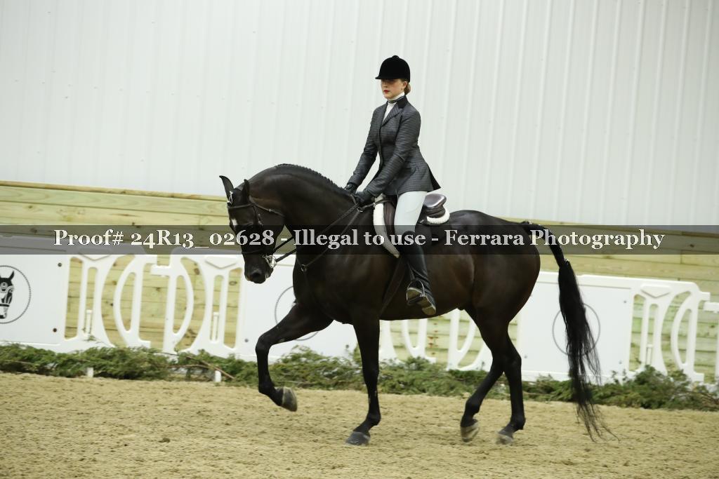 Proof Number 24R13_02628