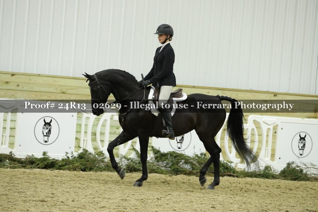 Proof Number 24R13_02629