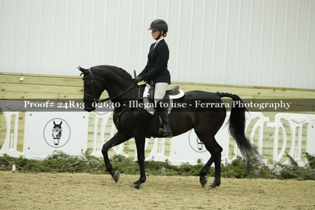 Proof Number 24R13_02630