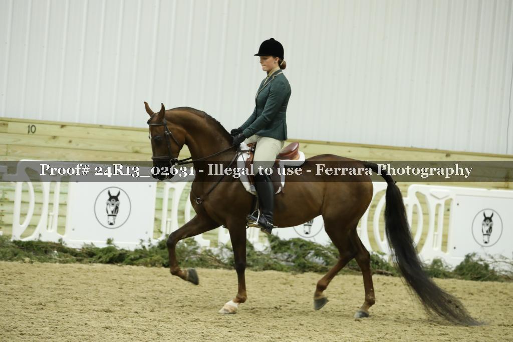 Proof Number 24R13_02631