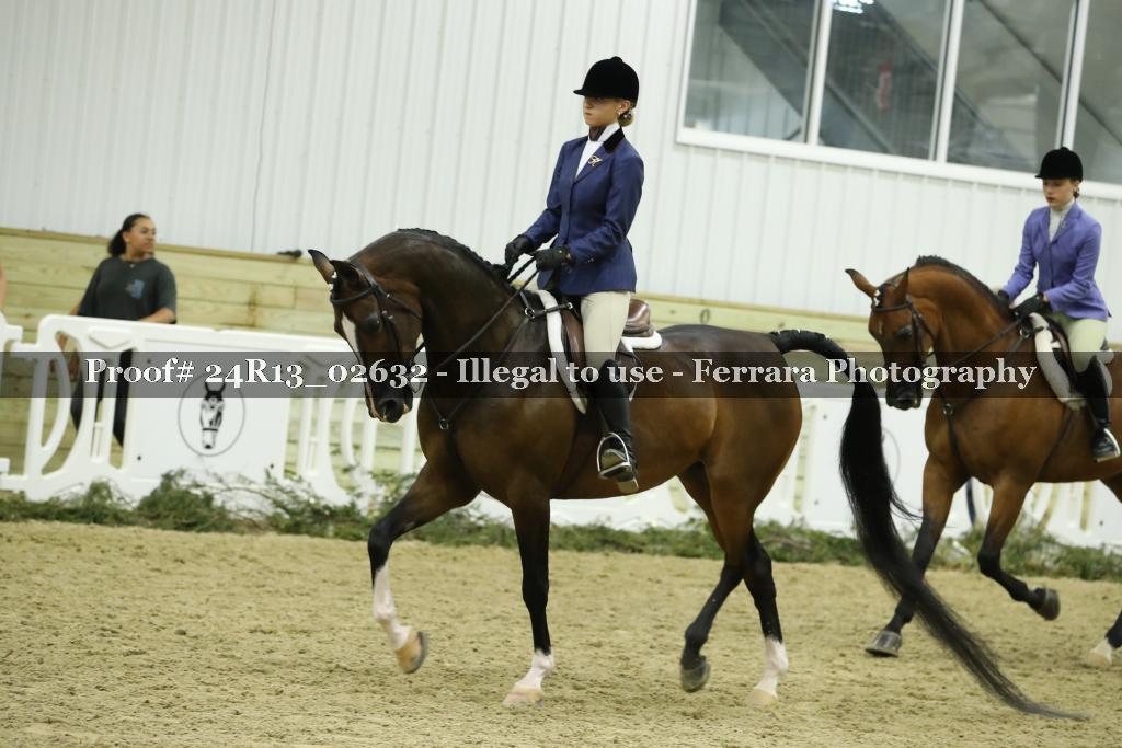 Proof Number 24R13_02632