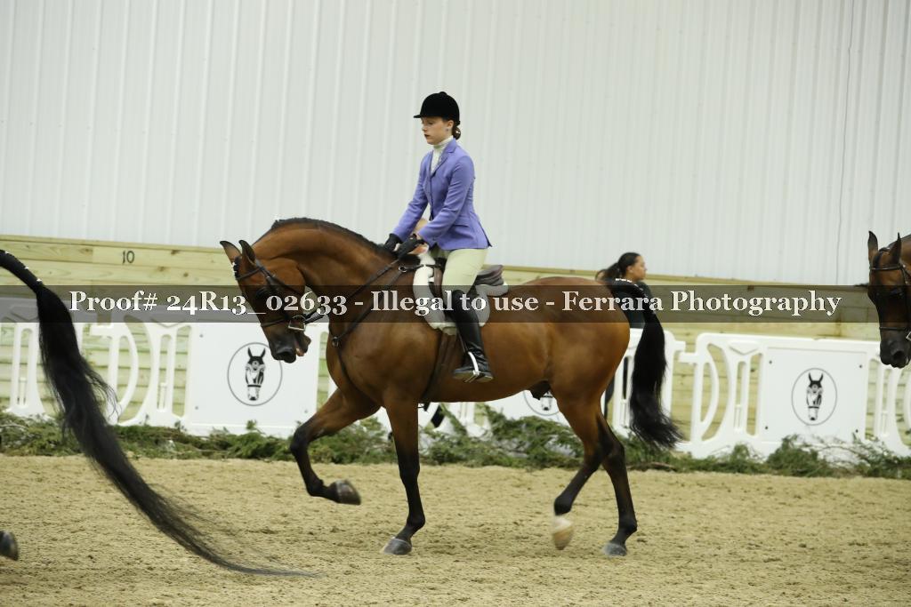Proof Number 24R13_02633