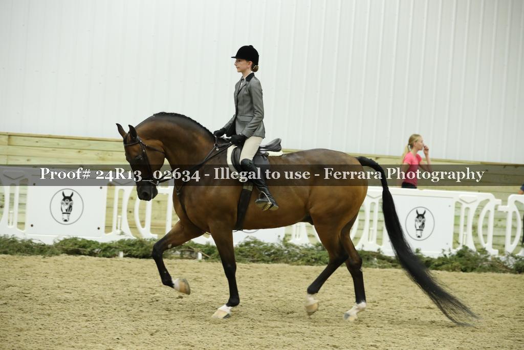 Proof Number 24R13_02634